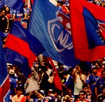 bannerrincon