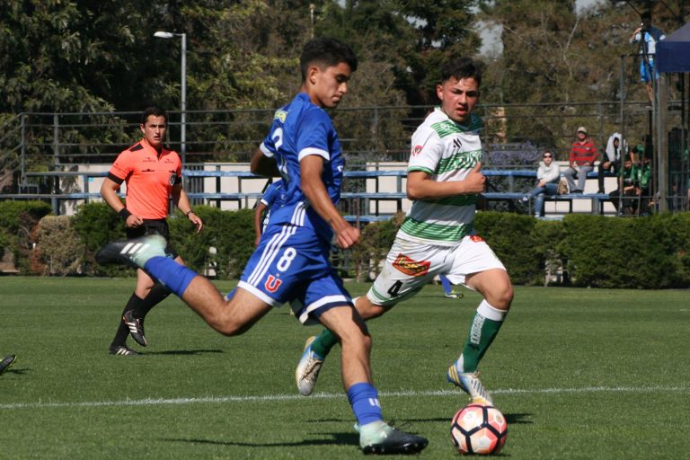 Fútbol formativo ante Palestino, Magallanes y Temuco: siguen los buenos resultados
